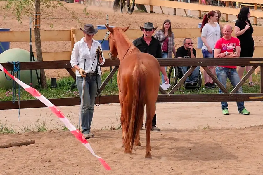 Horsemanship Dresden